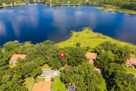 Land in DeLand, Florida № 1559780 - photo 12