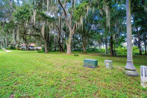 Land in DeLand, Florida № 1559780 - photo 2
