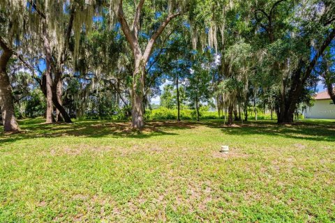 Land in DeLand, Florida № 1559780 - photo 1
