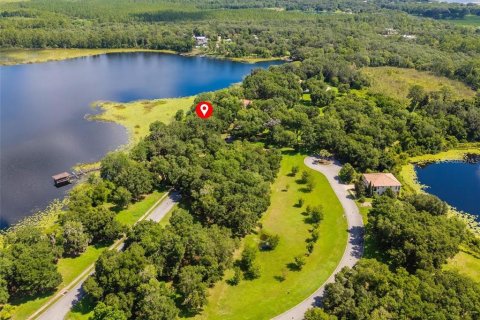 Land in DeLand, Florida № 1559780 - photo 10