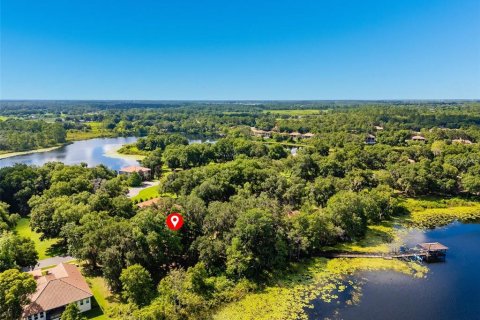 Land in DeLand, Florida № 1559780 - photo 8