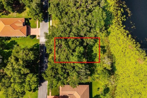 Land in DeLand, Florida № 1559780 - photo 9