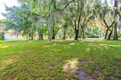 Land in DeLand, Florida № 1559780 - photo 4