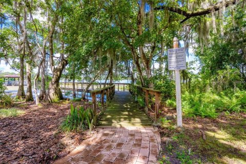 Land in DeLand, Florida № 1559780 - photo 22