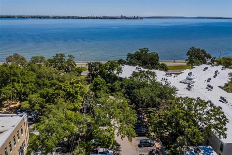 Condo in Tampa, Florida, 2 bedrooms  № 1724493 - photo 24