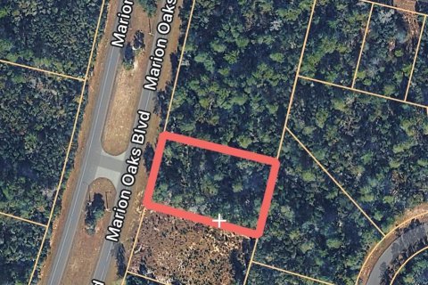 Land in Ocala, Florida № 2108955