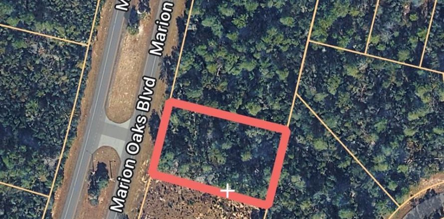 Land in Ocala, Florida № 2108955