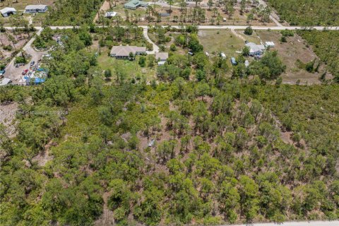 Immobilier commercial à vendre à Punta Gorda, Floride № 1698301 - photo 4