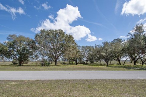 Terrain à Groveland, Floride № 2317497