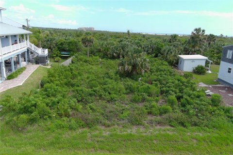 Terreno en venta en Palm Coast, Florida № 1793960 - foto 7