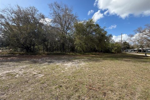 Terrain à Sebring, Floride № 2093017