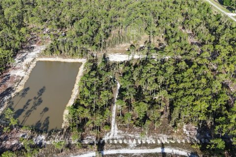 Terrain à Punta Gorda, Floride № 2107962