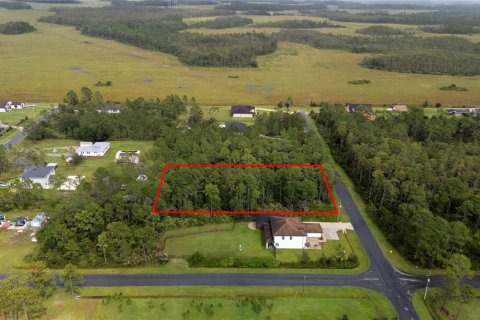 Terreno en venta en Orlando, Florida № 1913875 - foto 8