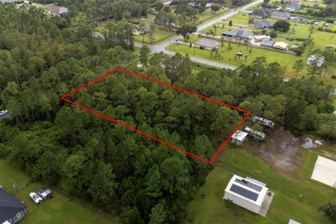 Terreno en venta en Orlando, Florida № 1913875 - foto 4