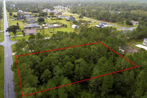 Terreno en venta en Orlando, Florida № 1913875 - foto 2