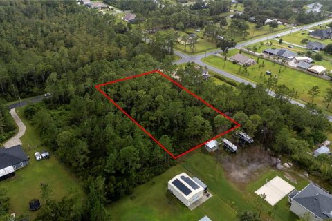 Terreno en venta en Orlando, Florida № 1913875 - foto 5