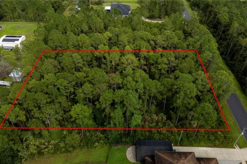 Terreno en venta en Orlando, Florida № 1913875 - foto 13