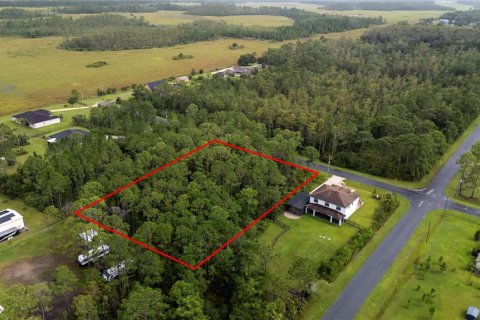 Terreno en venta en Orlando, Florida № 1913875 - foto 7