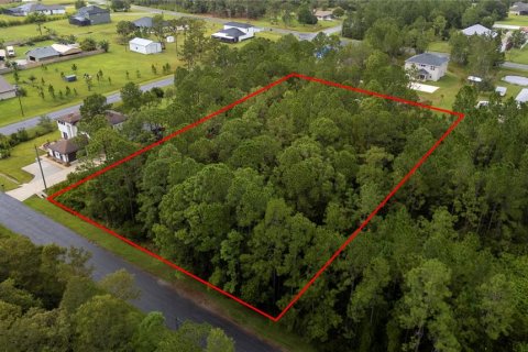 Terreno en venta en Orlando, Florida № 1913875 - foto 1