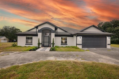 House in Clermont, Florida 3 bedrooms, 174.47 sq.m. № 2404598