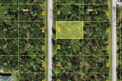 Land in Port Charlotte, Florida № 2160546
