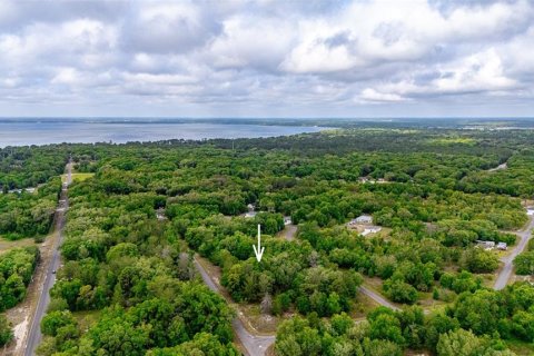 Land in Ocklawaha, Florida № 2284205