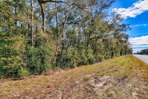 House in Bell, Florida 3 bedrooms, 101.17 sq.m. № 1544620 - photo 16