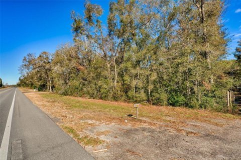 House in Bell, Florida 3 bedrooms, 101.17 sq.m. № 1544620 - photo 17