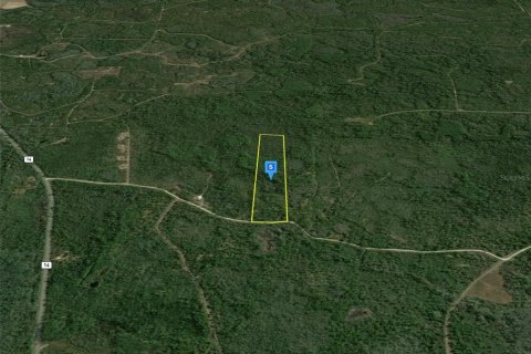 Land in Greenville, Florida № 2203423 - photo 2