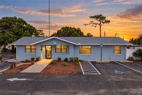 Commercial property in Zephyrhills, Florida 129.32 sq.m. № 2384106