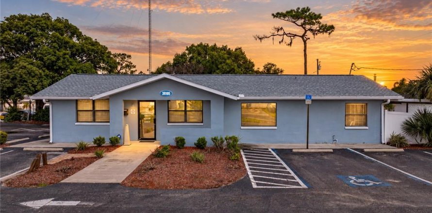 Commercial property in Zephyrhills, Florida 129.32 sq.m. № 2384106