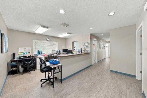 Commercial property in Zephyrhills, Florida 129.32 sq.m. № 2384106 - photo 14