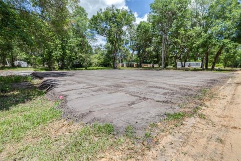 Land in Webster, Florida № 2161305 - photo 4