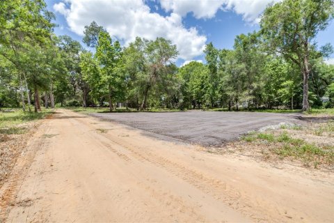 Land in Webster, Florida № 2161305 - photo 2