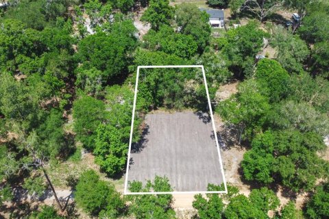 Land in Webster, Florida № 2161305 - photo 7