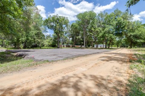 Land in Webster, Florida № 2161305 - photo 3