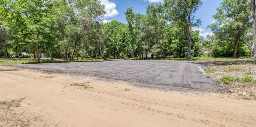 Land in Webster, Florida № 2161305