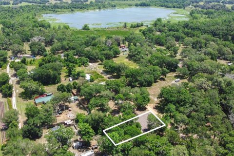 Land in Webster, Florida № 2161305 - photo 8