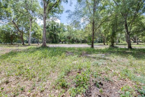 Land in Webster, Florida № 2161305 - photo 5