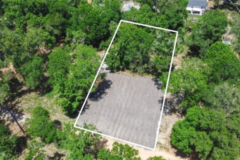 Land in Webster, Florida № 2161305 - photo 6