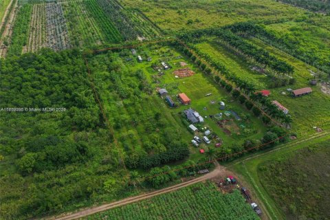 Immobilier commercial à vendre à Homestead, Floride № 1985206 - photo 4