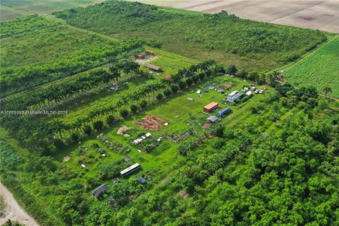 Immobilier commercial à vendre à Homestead, Floride № 1985206 - photo 3