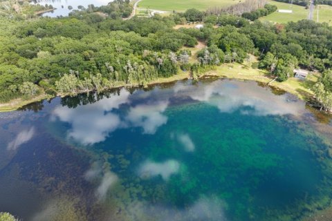 Купить виллу или дом в Одесса, Флорида 3 комнаты, 169.83м2, № 2101505 - фото 23
