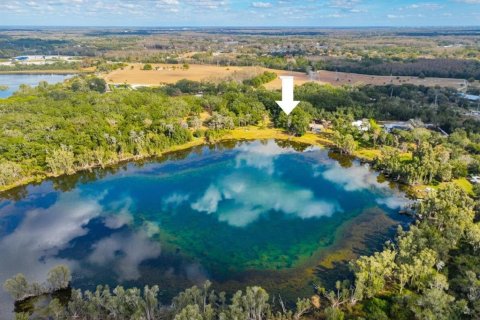 Купить виллу или дом в Одесса, Флорида 3 комнаты, 169.83м2, № 2101505 - фото 4