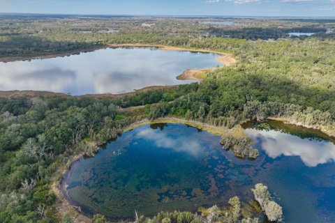 Купить виллу или дом в Одесса, Флорида 3 комнаты, 169.83м2, № 2101505 - фото 15
