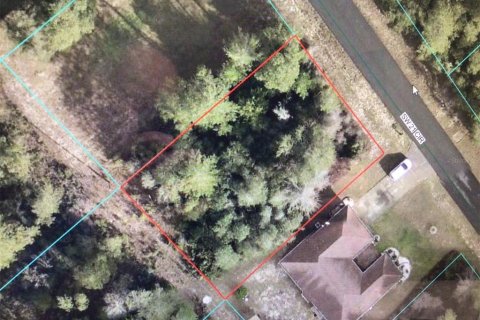 Terreno en Ocala, Florida № 2104229