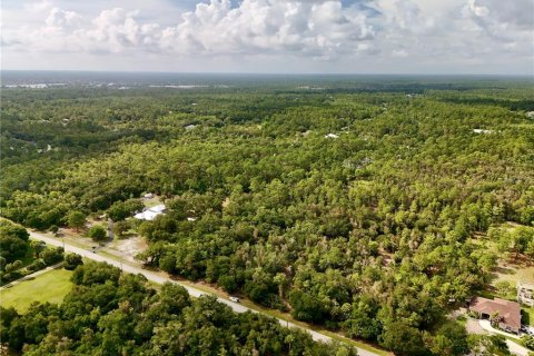 Terreno en venta en Naples, Florida № 2371353 - foto 15