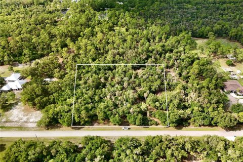 Terreno en Naples, Florida № 2371353