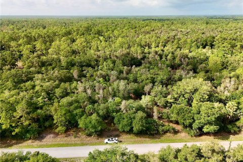 Terreno en venta en Naples, Florida № 2371353 - foto 21