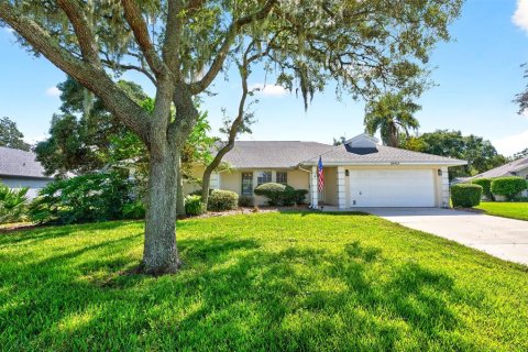 Villa ou maison à vendre à Leesburg, Floride: 3 chambres, 193.33 m2 № 2427539 - photo 25